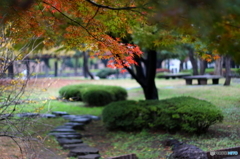 公園でのんびりと