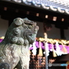 今年もよろしくお願いいたします。
