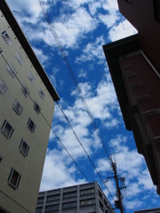 P9130002