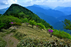 連なる山