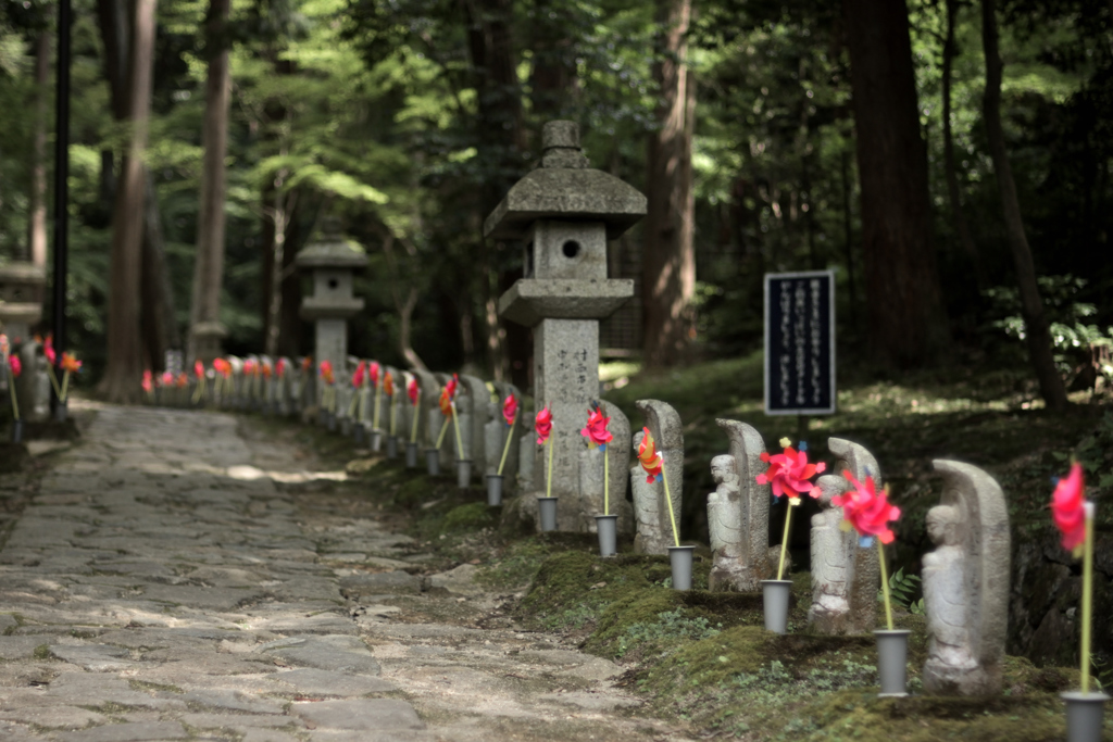 金剛輪寺参道