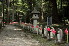 金剛輪寺参道