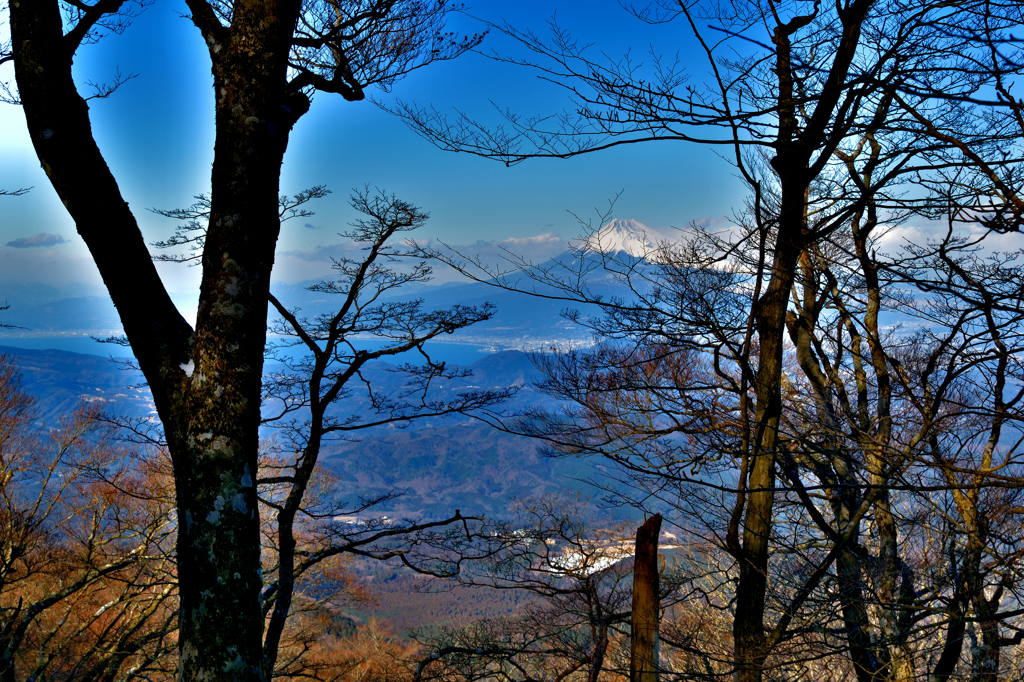 雪の天城山散策③