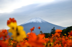 2015富士山初冠雪