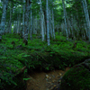 深淵の山道