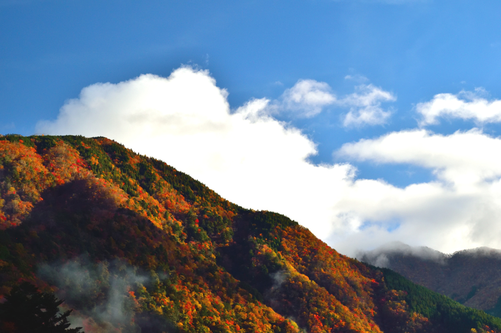 燃える山