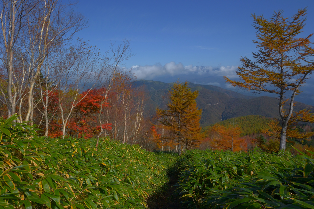 恵那山の秋