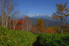 恵那山の秋
