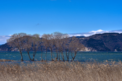 琵琶湖の風景