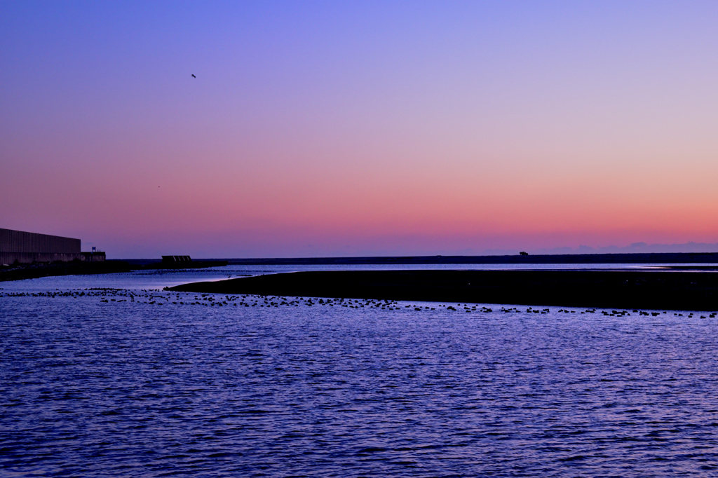 夕暮れの河口