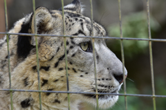 多摩動物公園-3