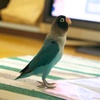 背伸び