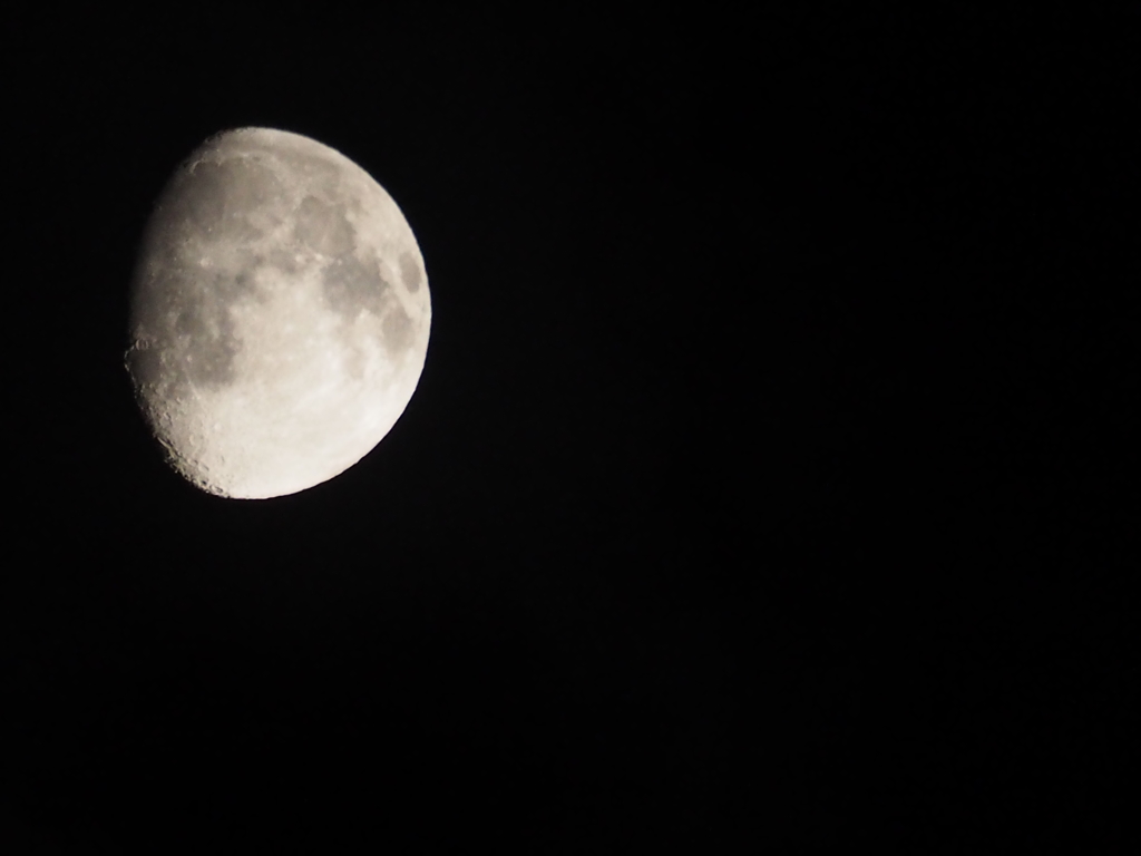 下手くそだけど、望遠レンズ買ったら撮りたくなりますよねー