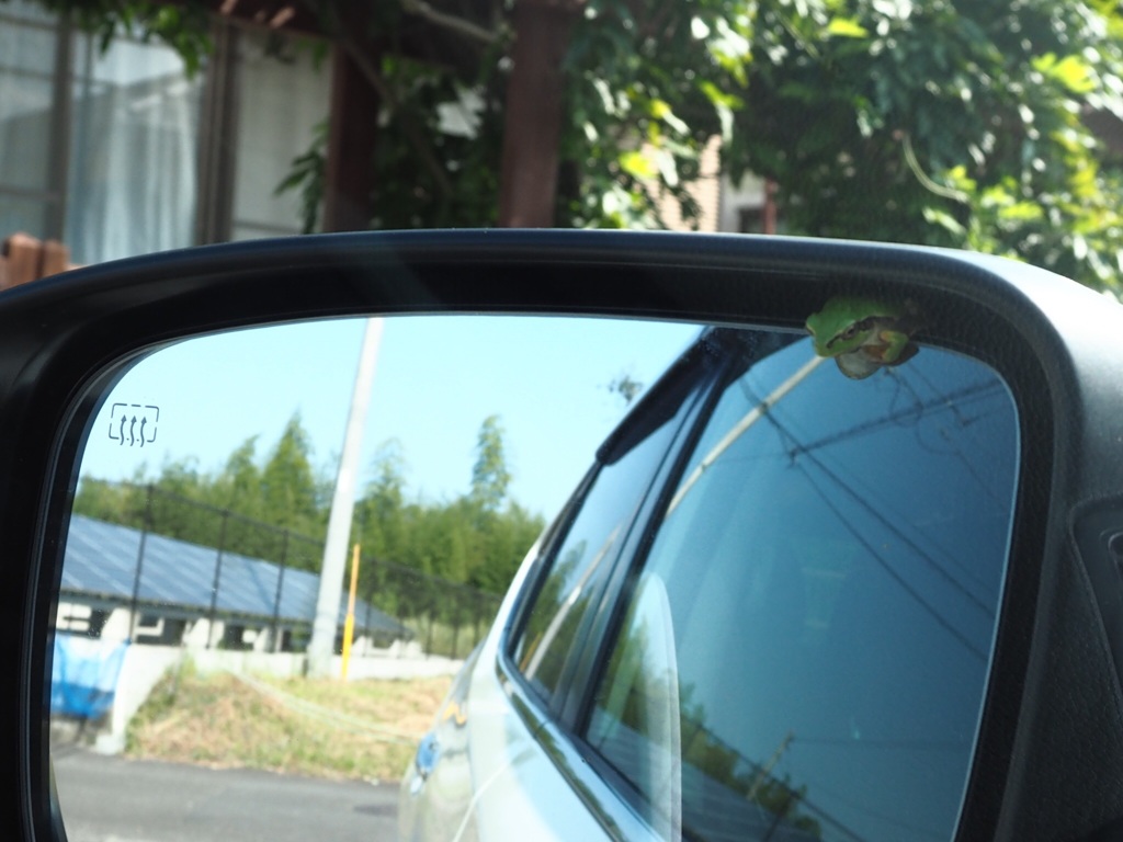 なんてところに入ってるんだ…