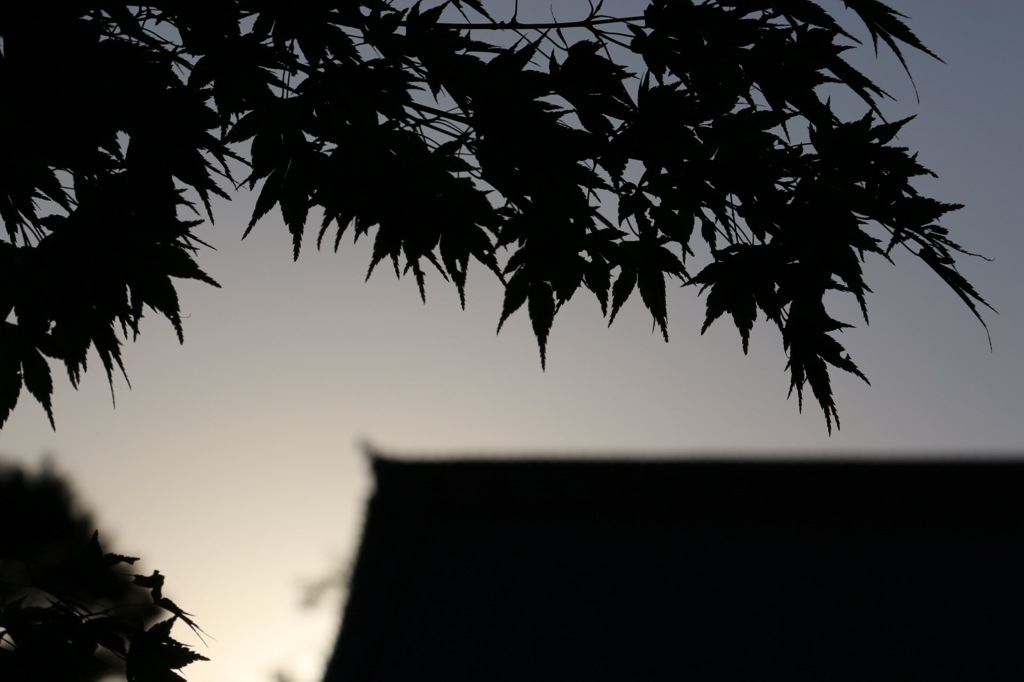 光明寺