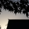 光明寺