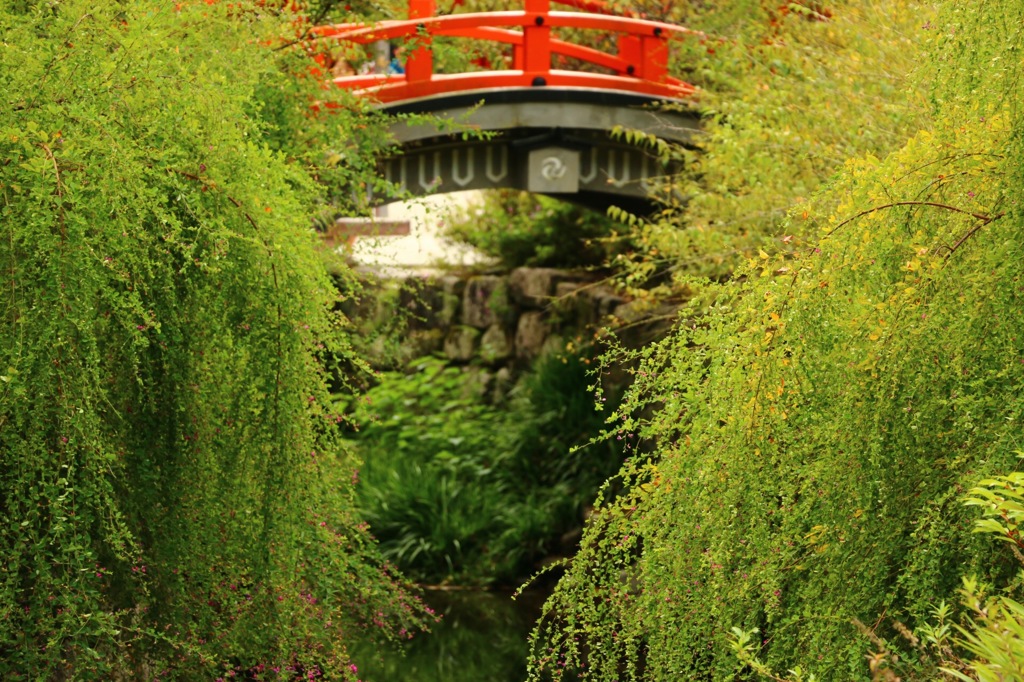 下鴨神社