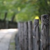 光明寺