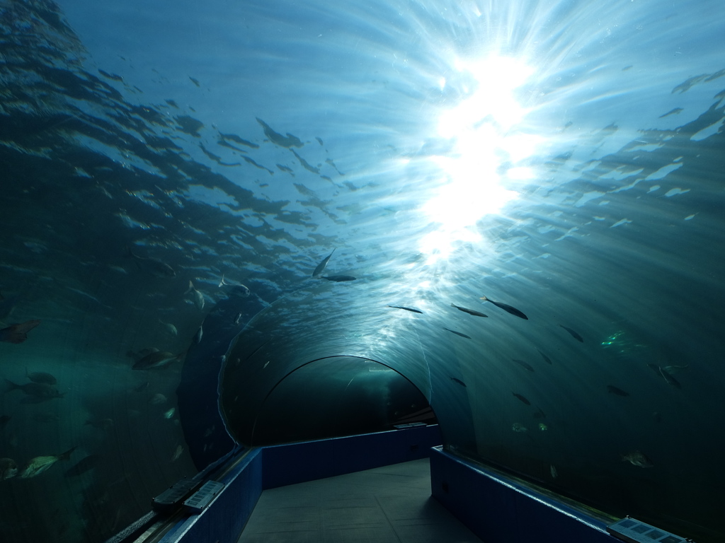 のとじま水族館