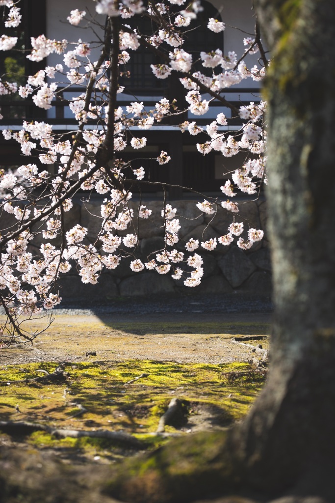 勧修寺