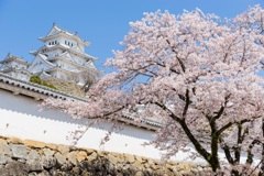 Himeji castle 