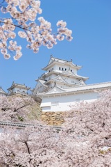 Himeji castle 