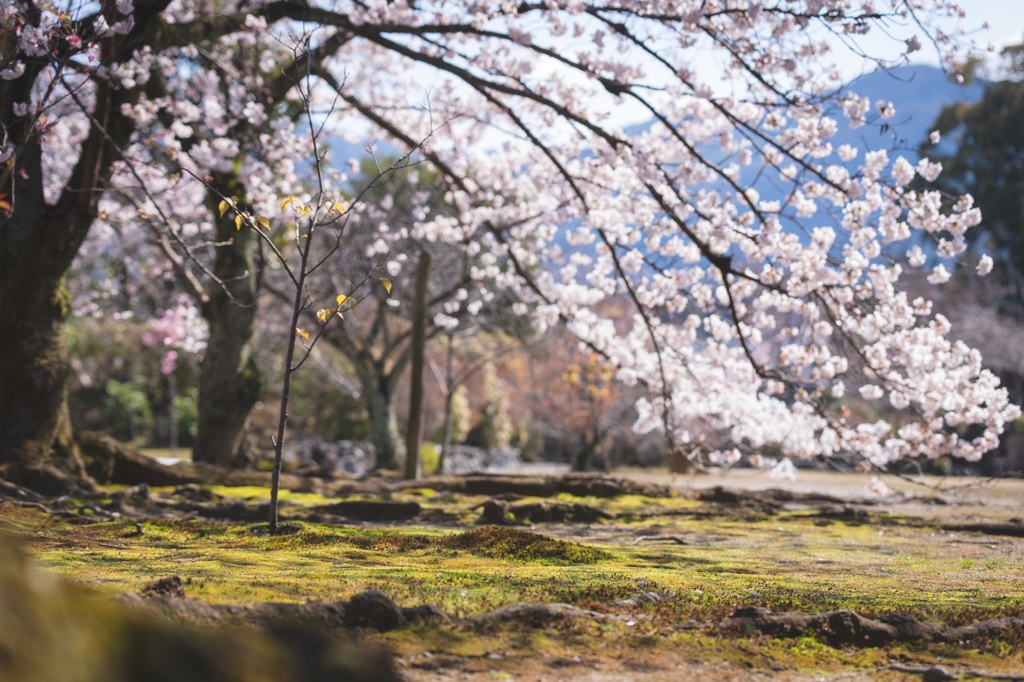 勧修寺