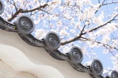 勧修寺
