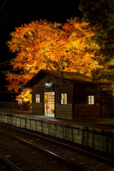 Maple station