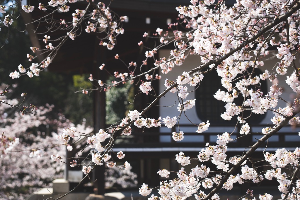 勧修寺