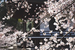 勧修寺