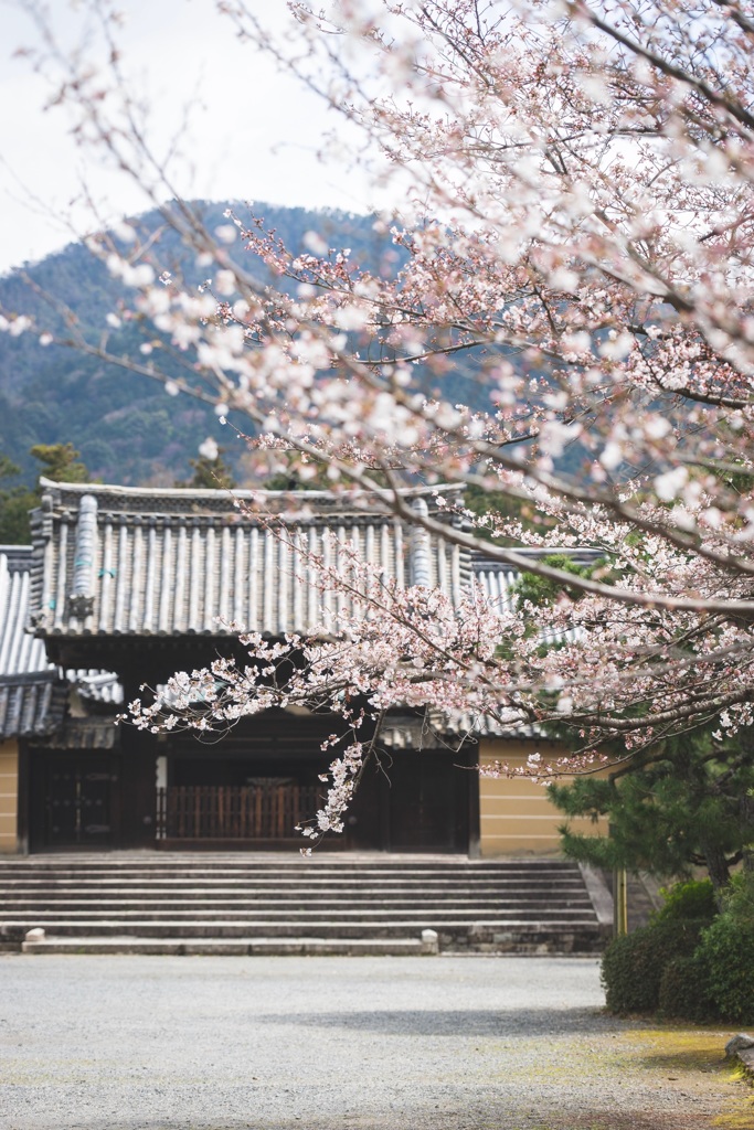 随心院