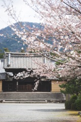 随心院