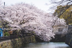 姫路市立動物園