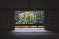 随心院