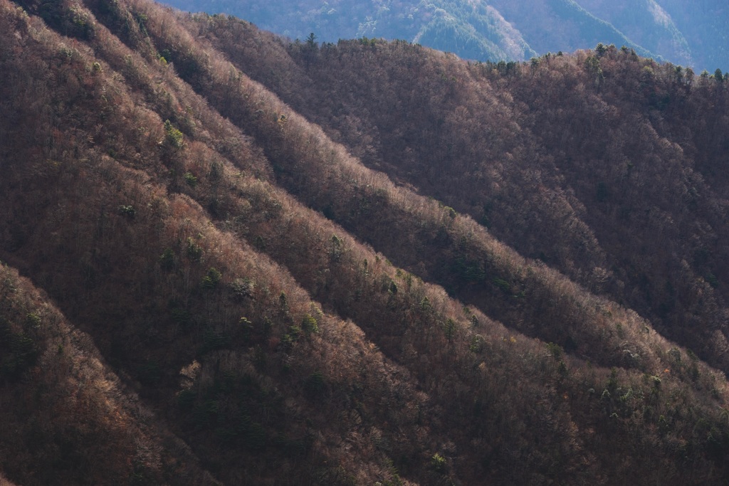 大台ケ原