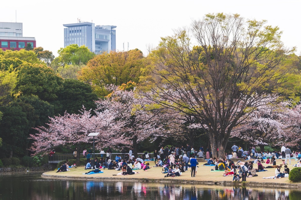 Hanami