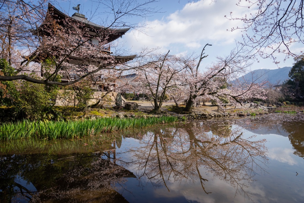 勧修寺
