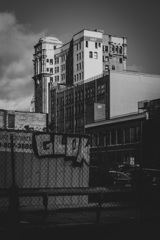 DTLA 