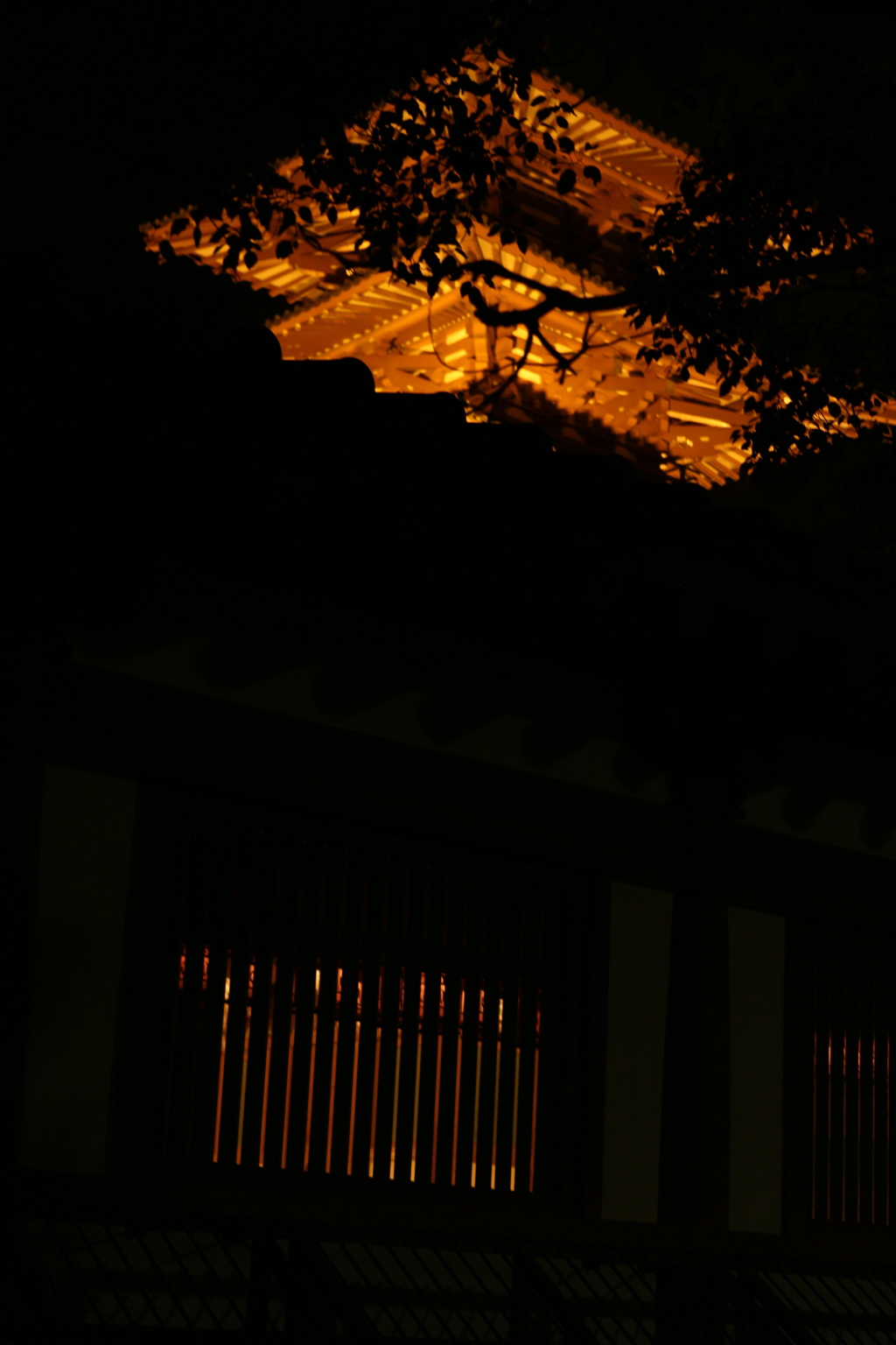 木洩り