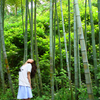 竹林