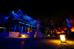 夜の長谷寺