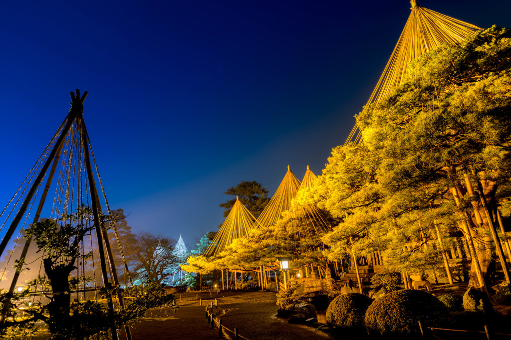 兼六園　冬の段5