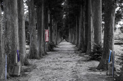 眼目寺