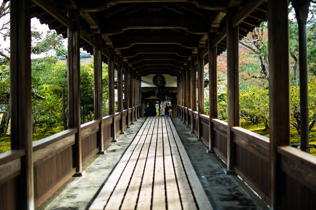 京都１６