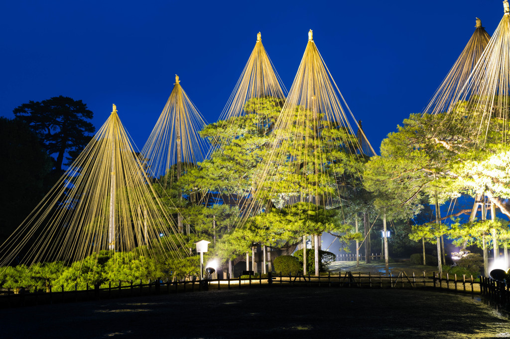 兼六園　冬の段3