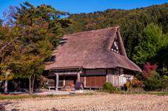 白川郷