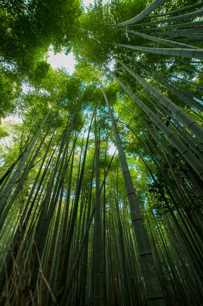 京都２１