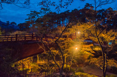弥彦公園6