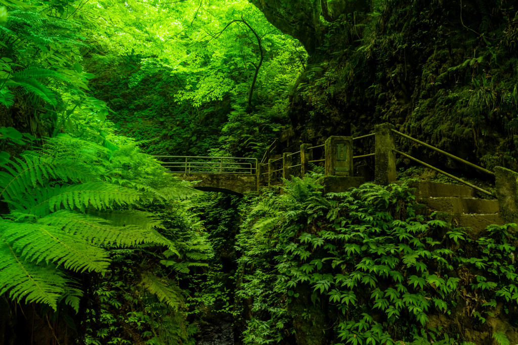 岩室の滝